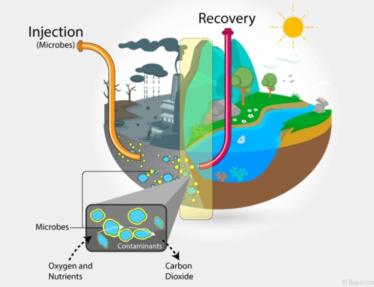 ASA Environmental Solutions ASA Environmental Solutions - – Bio Remediation